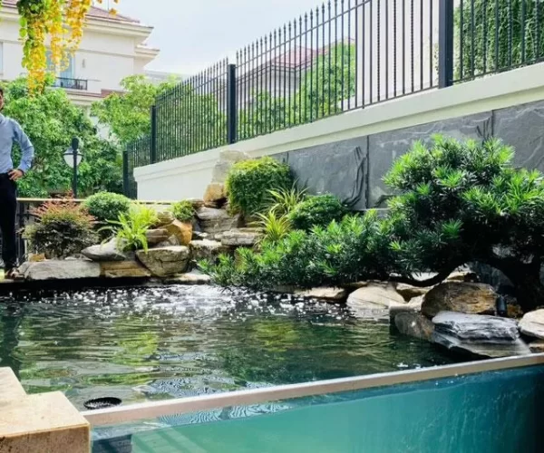 VILA-SALA-1 VILA-SALA-1