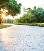 Tenant Guide To Garden Maintenance