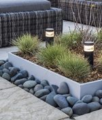 How to care for a bonsai tree outdoors